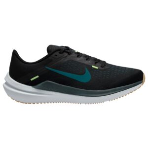 Nike Ανδρικά Running Winflo 10 DV4022-008 Μαύρο