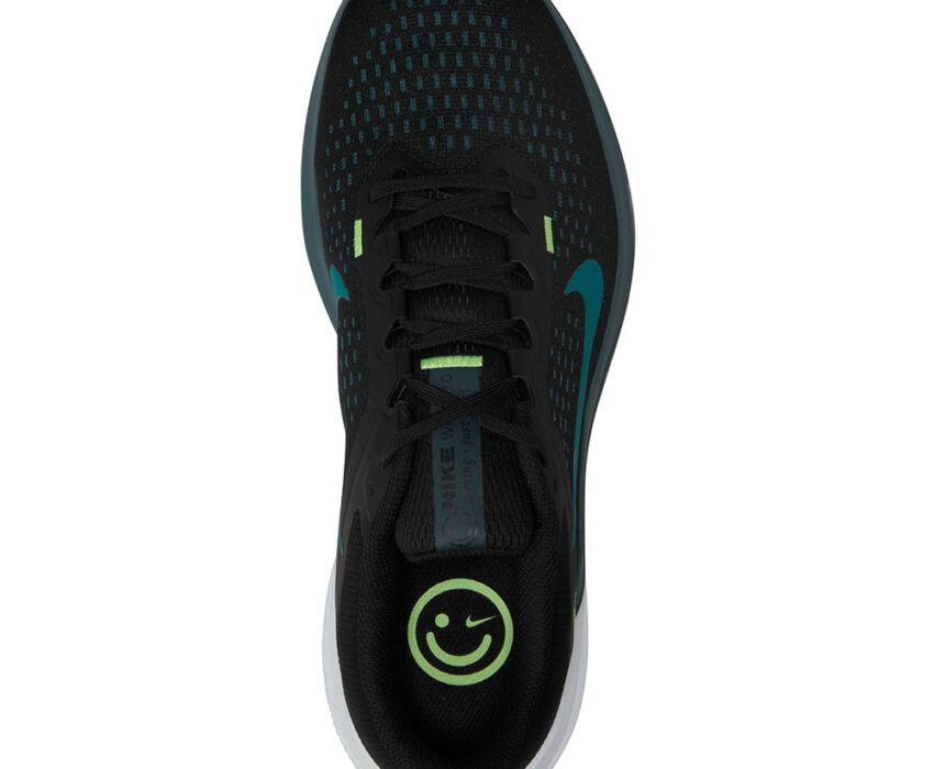 Nike Ανδρικά Running Winflo 10 DV4022-008 Μαύρο