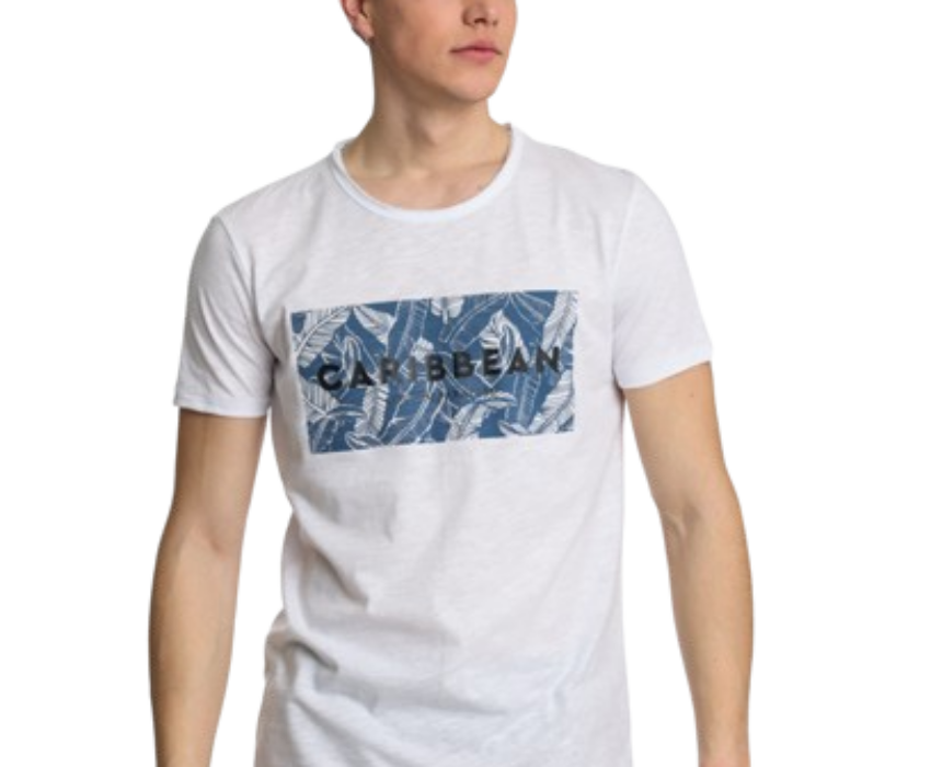 Paco & Co Ανδρικό T-shirt  Carribean 2431023-02 Λευκό