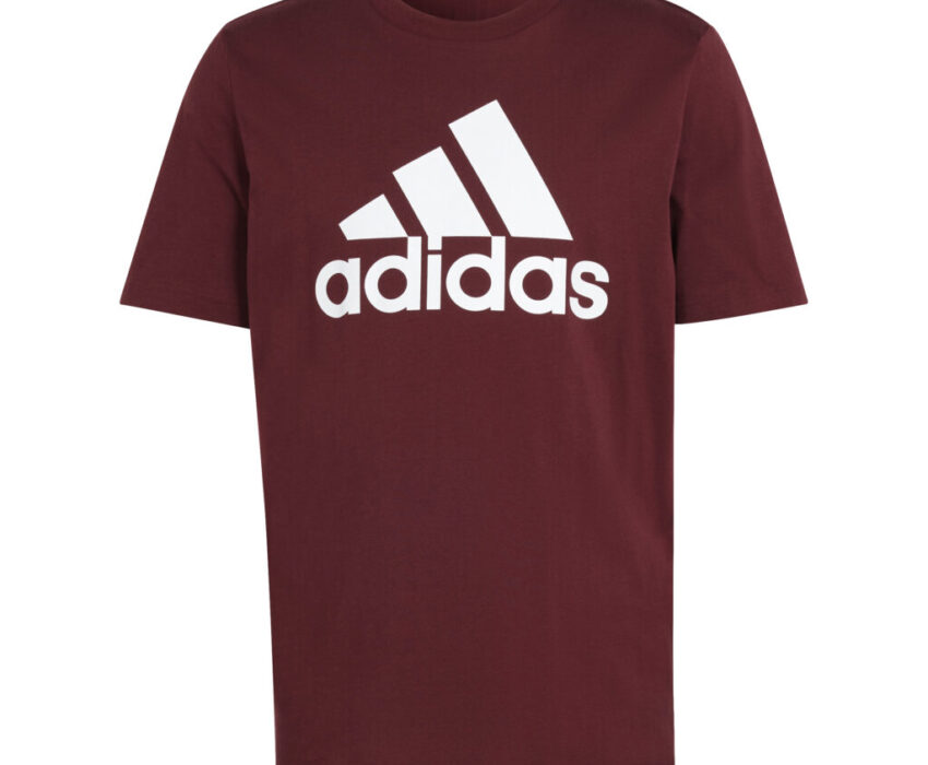 Adidas Essentials Big Logo Tee IS1301 Ανδρικό T-shirt Μπορντό