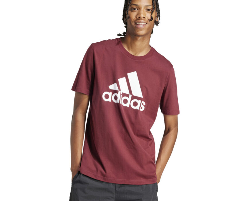 Adidas Essentials Big Logo Tee IS1301 Ανδρικό T-shirt Μπορντό