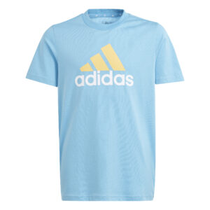 Adidas Big Logo  2 Παιδικό T-shirt IS2588 Γαλάζιο